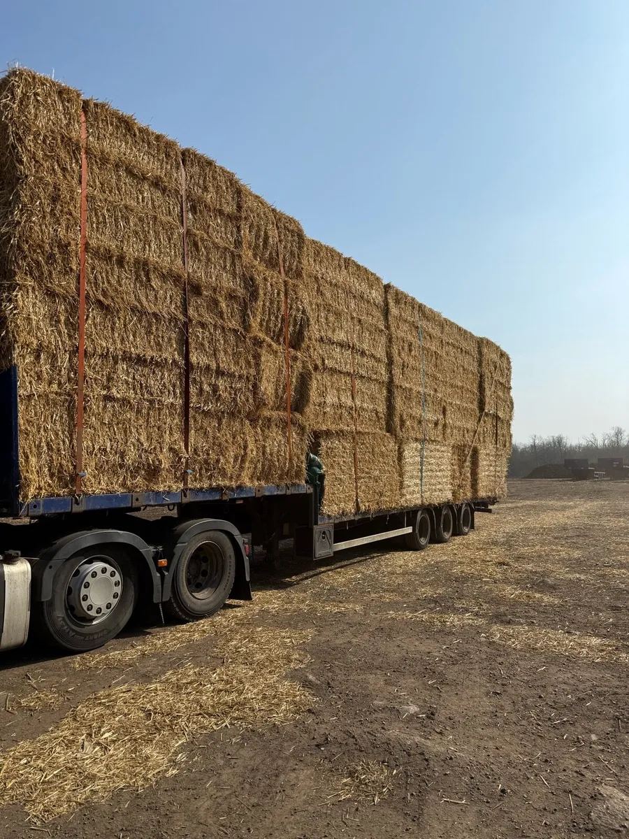 Now taking orders for straw over the winter - Image 4