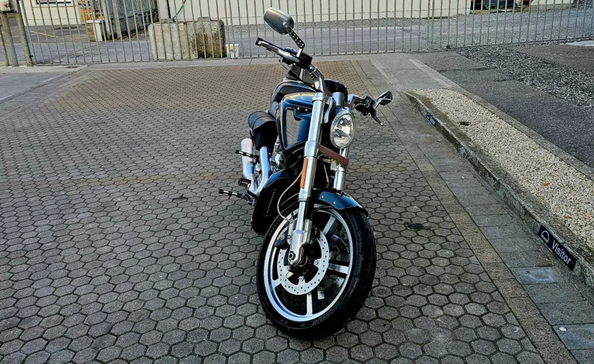 Harley Davidson VRod Muscle 2015 - Image 2