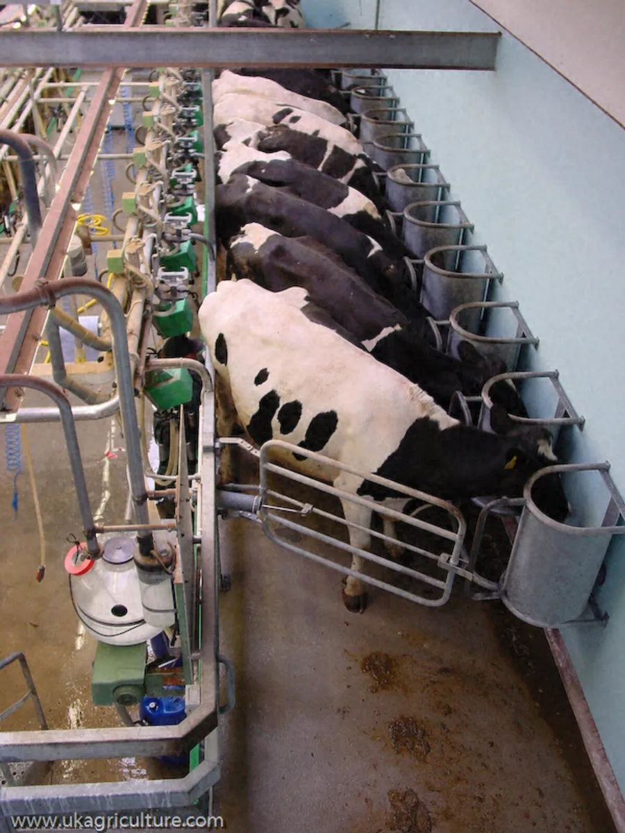 Relief Milking - Image 2