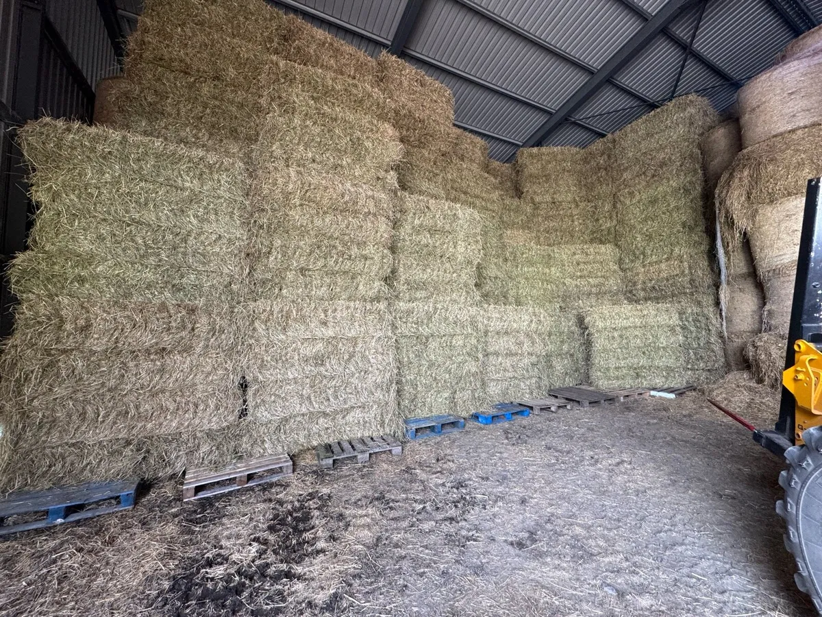Top Class Hay and straw for sale - Image 4