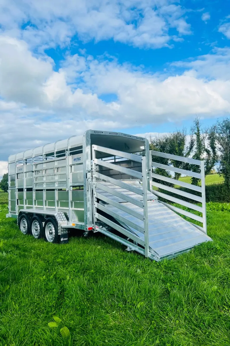 Mtec 14ft x 6ft Livestock Trailer - Image 1