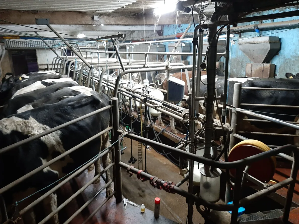 Relief Milking - Image 1