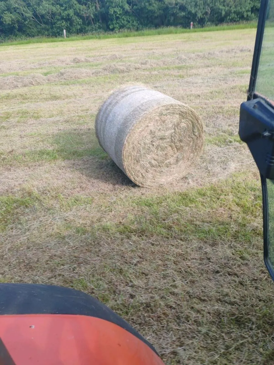 Hay and Silage - Image 1