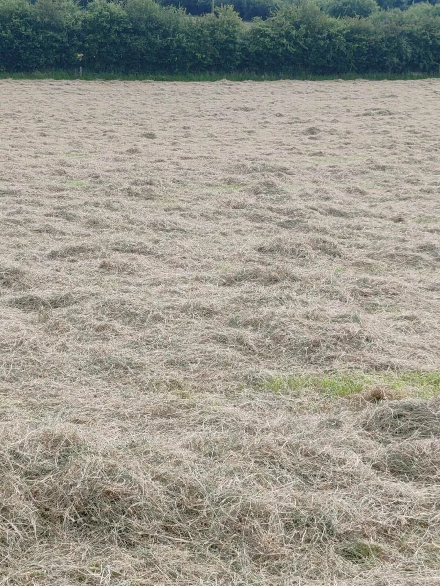 Hay and Silage - Image 2