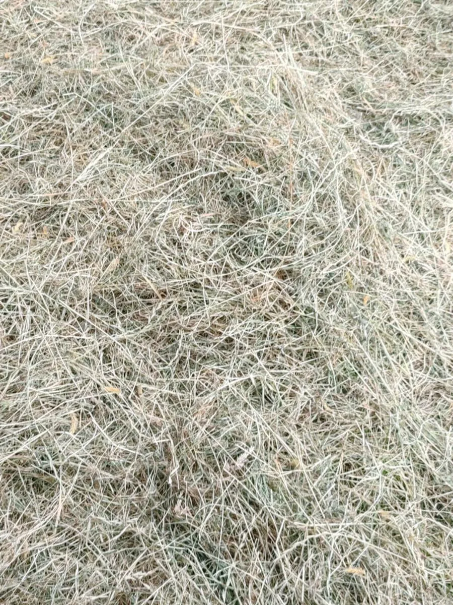 Hay and Silage - Image 3