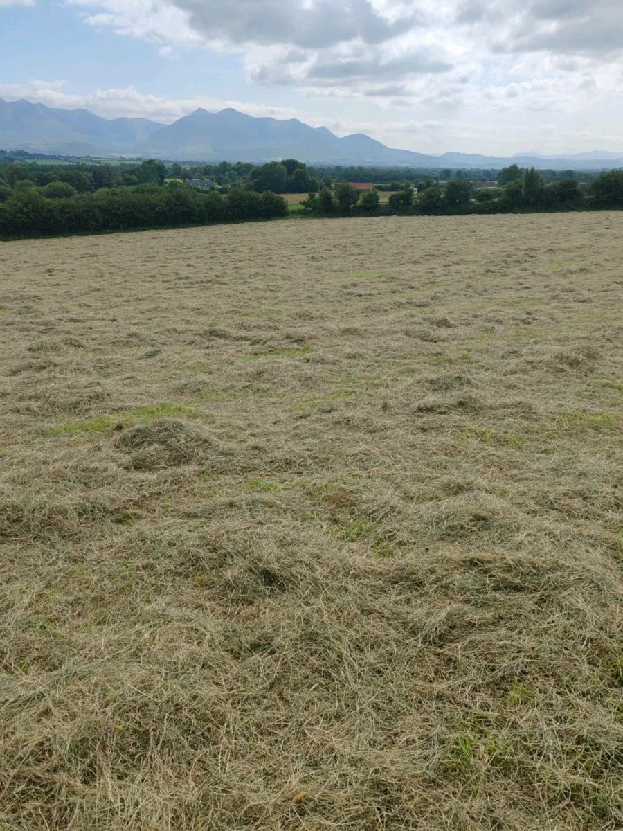 Hay and Silage - Image 4