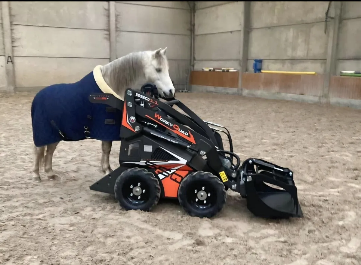 Cast worky quads for sale Italian manufactured - Image 4