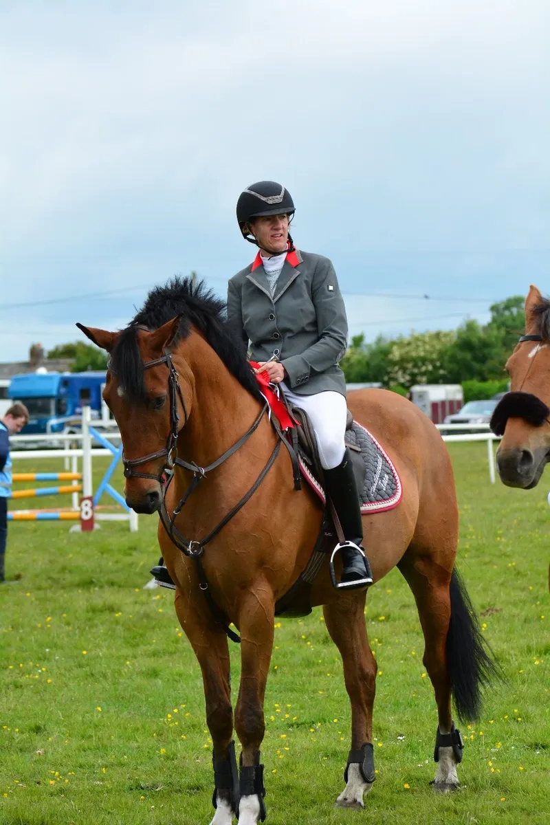 full livery - Image 1