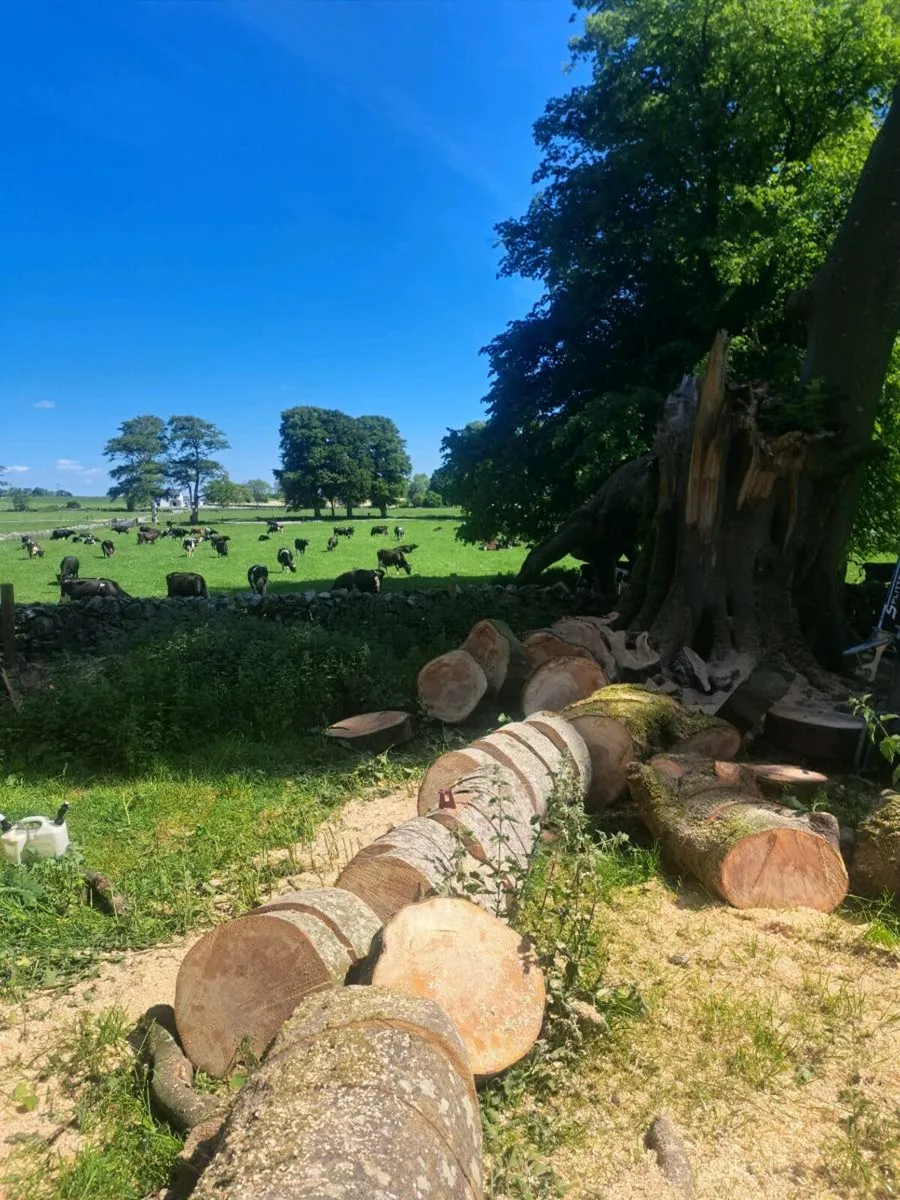 Fencing Landscaping & Maintenance Contractor - Image 2