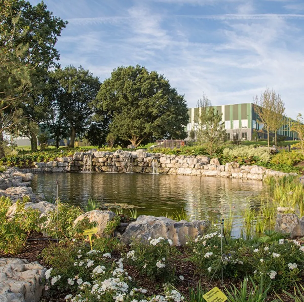 Weathered Limestone Boulders for Rockery - Image 3