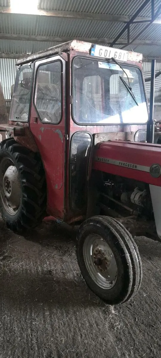 Massey ferguson 135 - Image 2