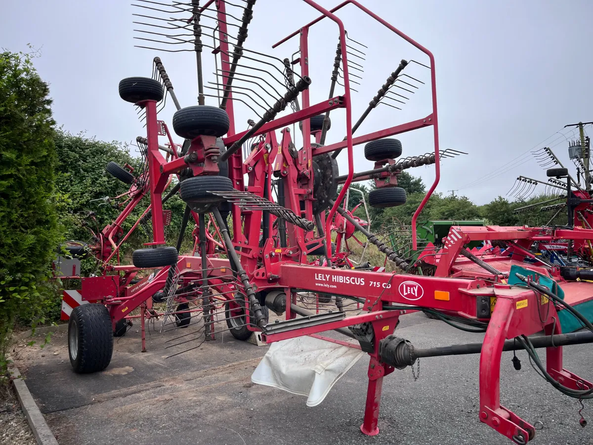 Lely Hibiscus 715CD Rake - Image 1