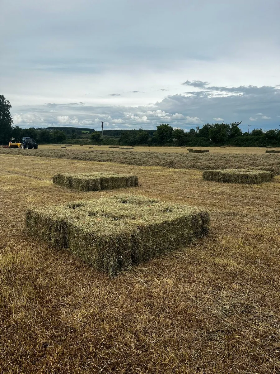 Premium Small Square Bales of Hay & Haylage - Image 1