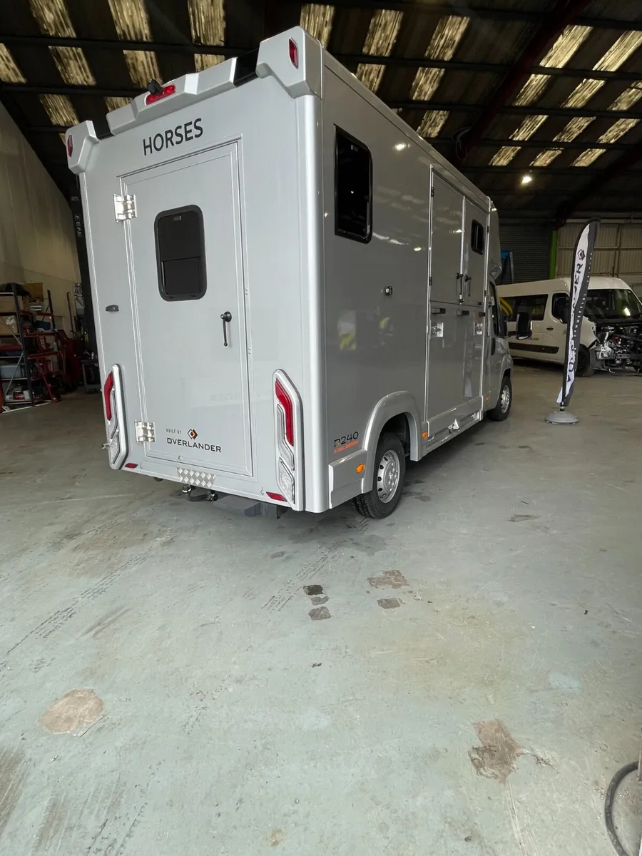 New 3.5tonne  Peugeot Horsebox - Image 2