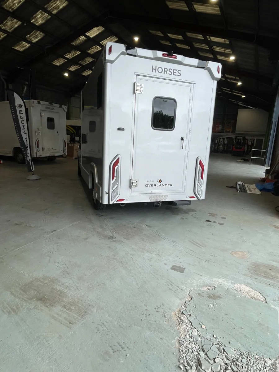 New 3.5tonne  Peugeot Horsebox - Image 3