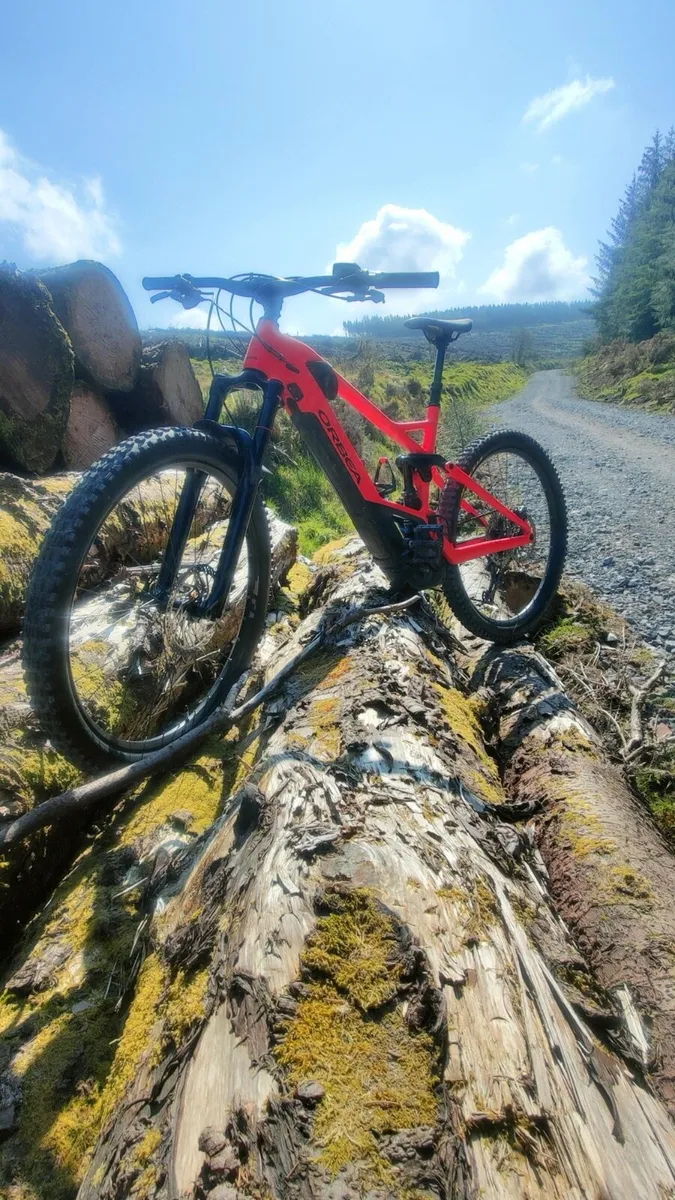 Orbea Wild FS25 2020 Emtb - Image 3