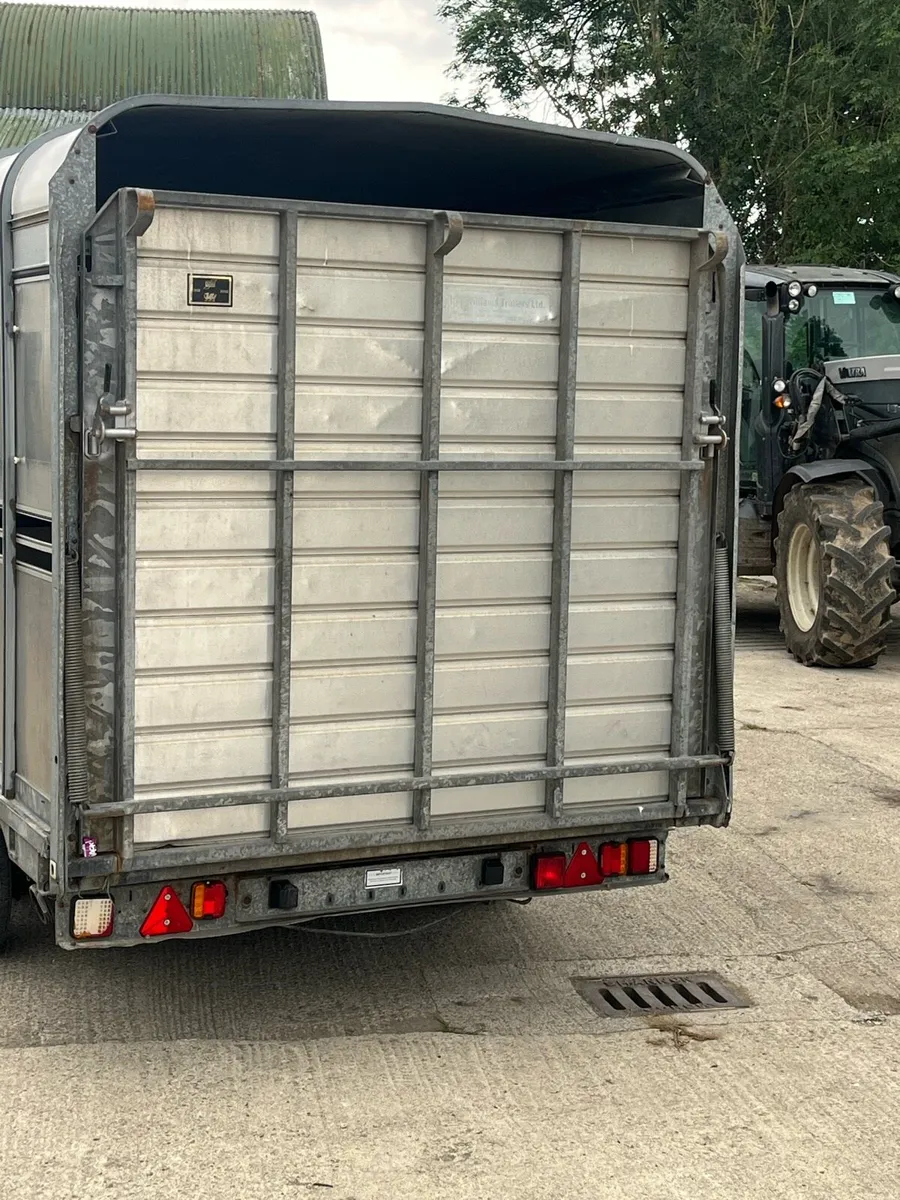 14x6’6 ifor Williams - Image 4