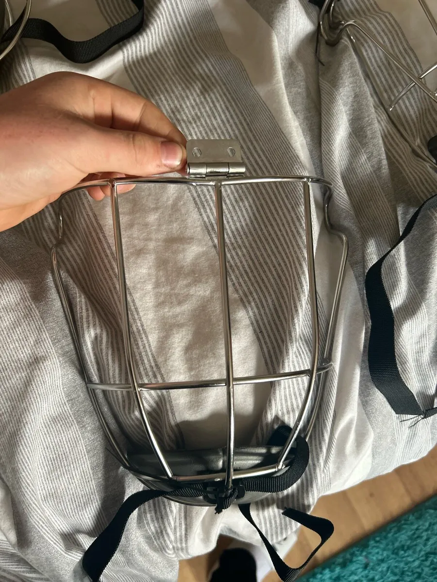 Kilkenny / thurles gaurds - Image 2