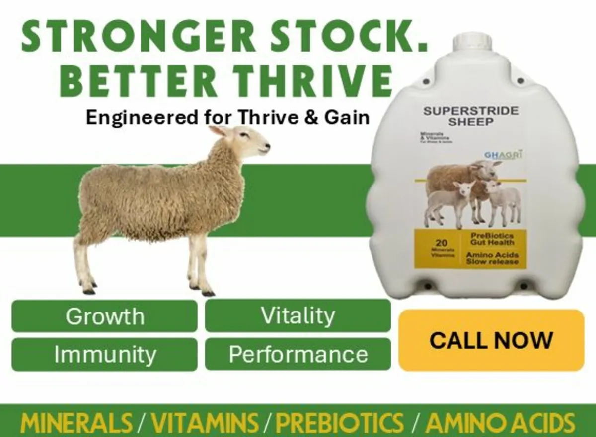 Ultimate Nutrition Boost - Image 2