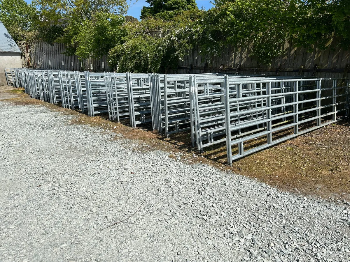 GALVAINSED GATES AT FRS FENCING TINAHELY - Image 1