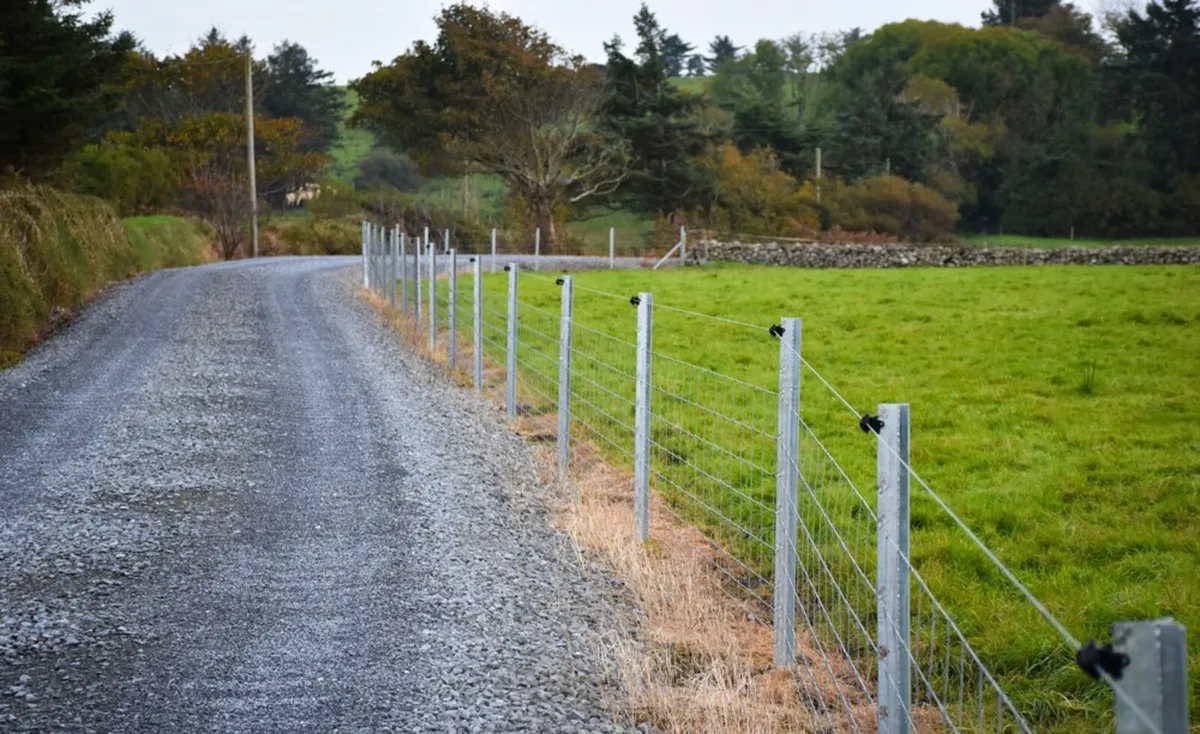 ClIPEX FENCING AT FRS TINAHELY - Image 1