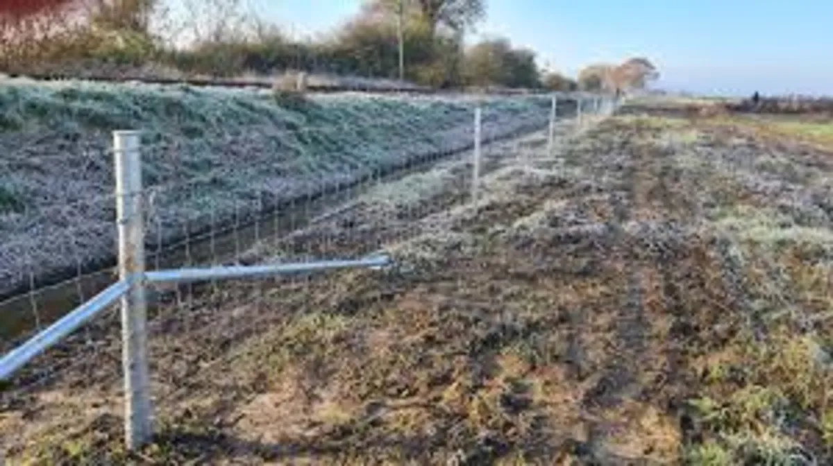 ClIPEX FENCING AT FRS TINAHELY - Image 4