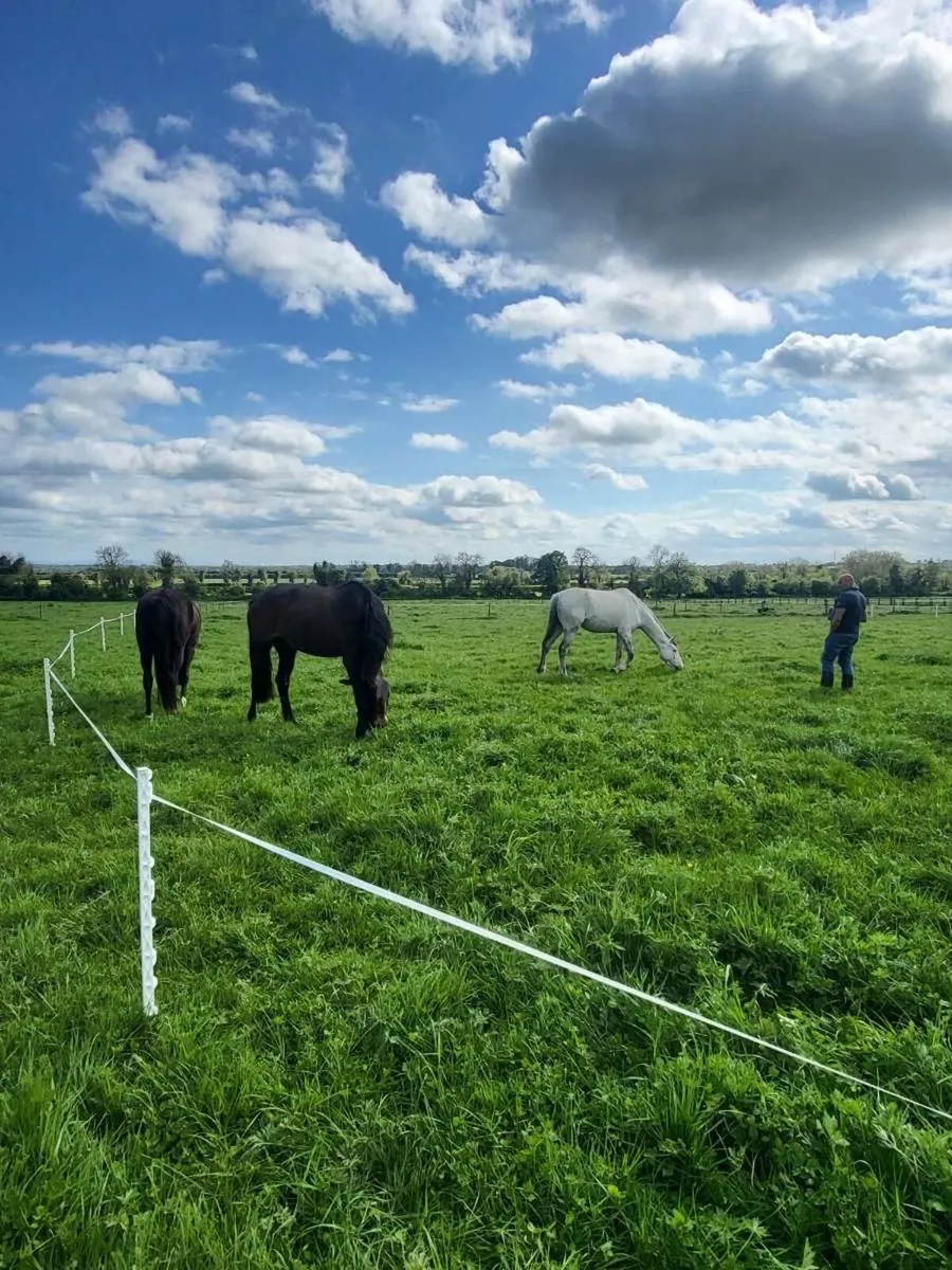 Private full livery yard - Image 4