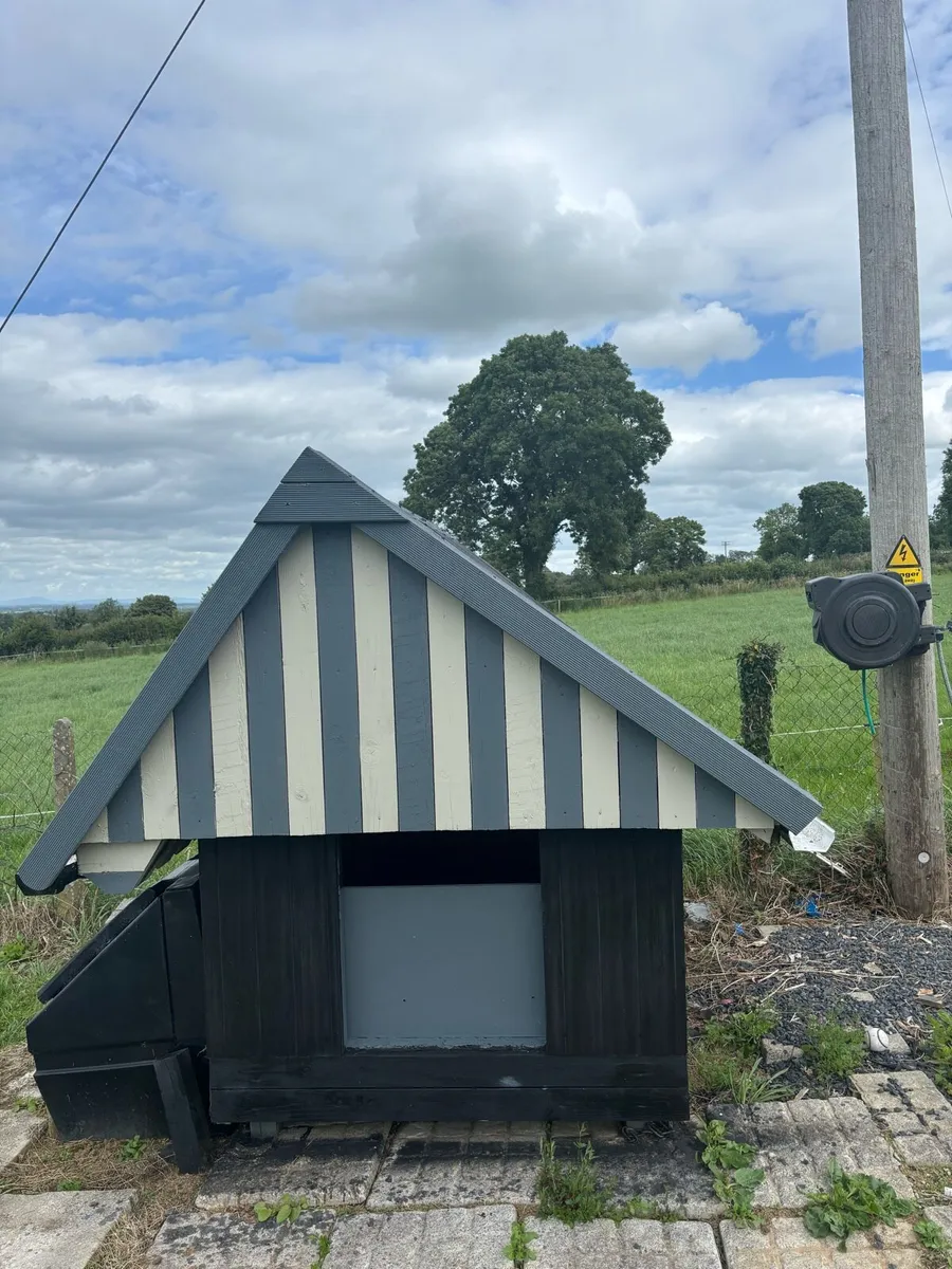 Dog House- reduced price due to one time waster - Image 2