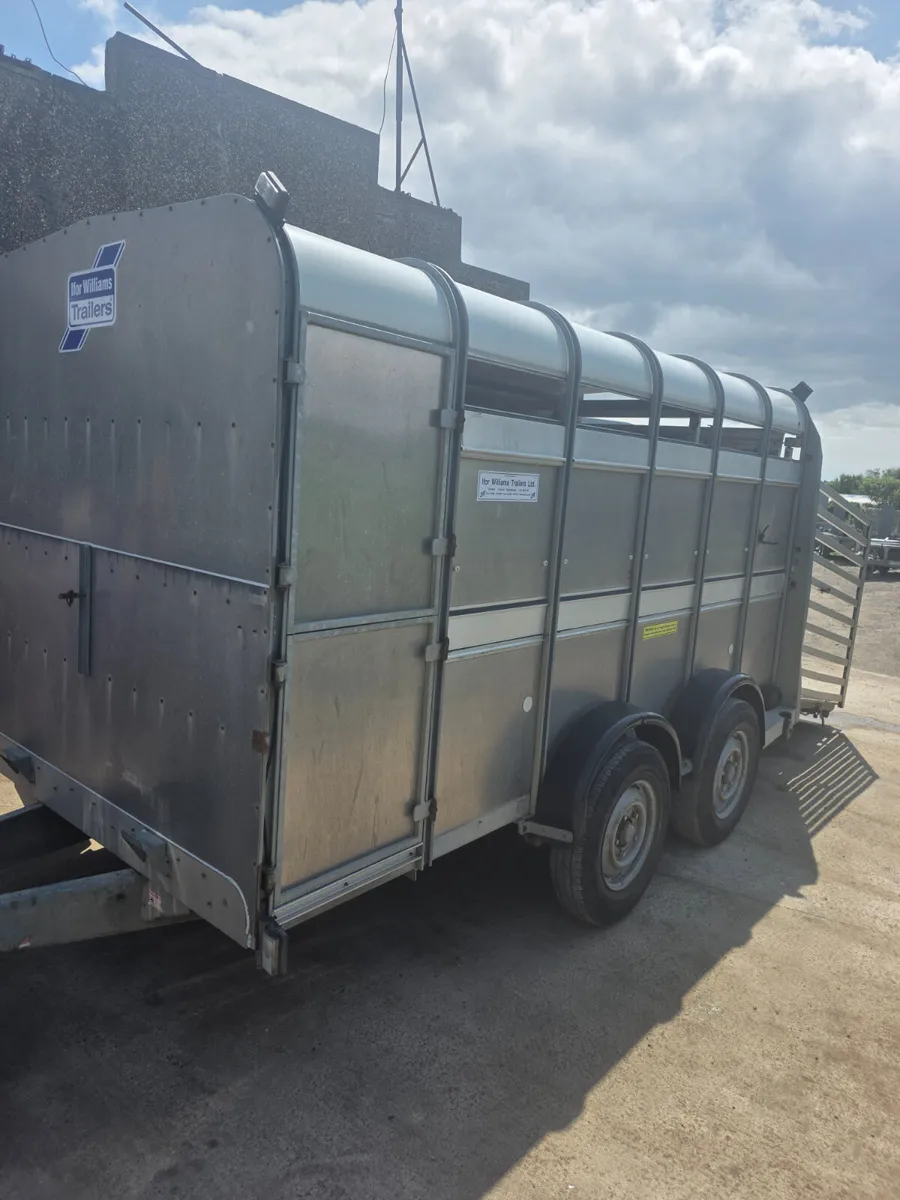 12ft ifor Williams livestock trailer - Image 1