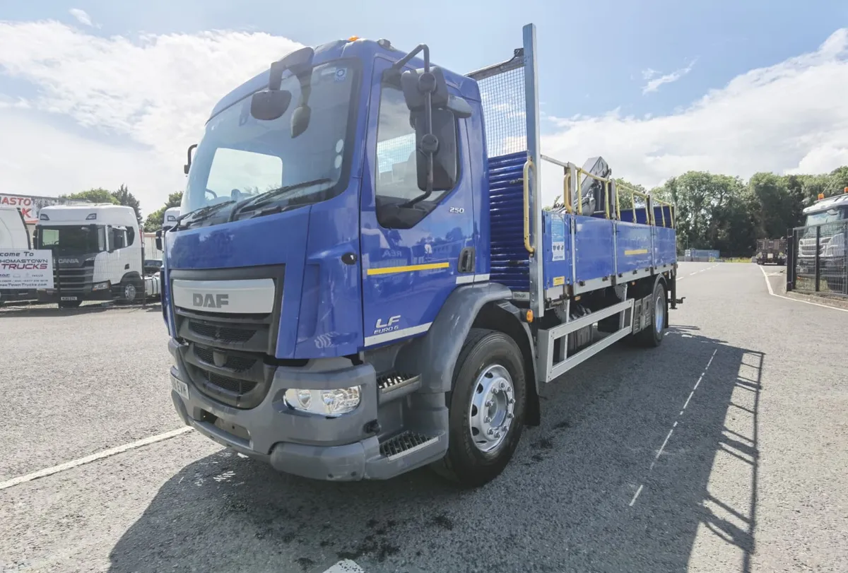 2016  DAF LF 250 EURO 6, 18 TON GROSS - Image 3