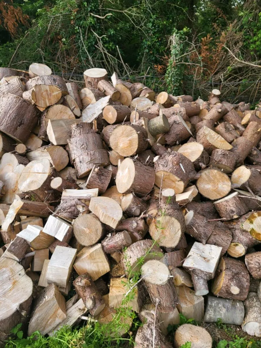 Timber/wood - Image 2