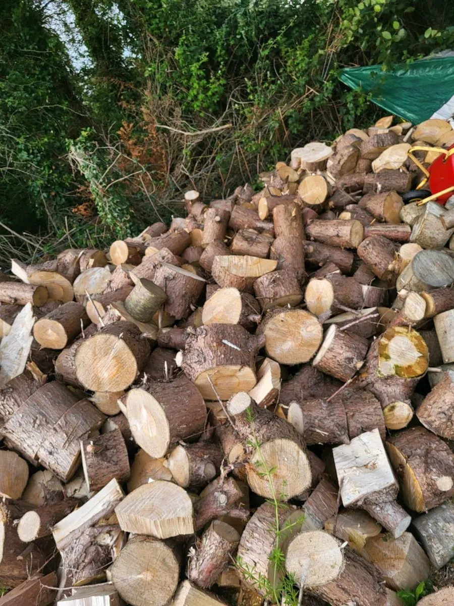 Timber/wood - Image 4