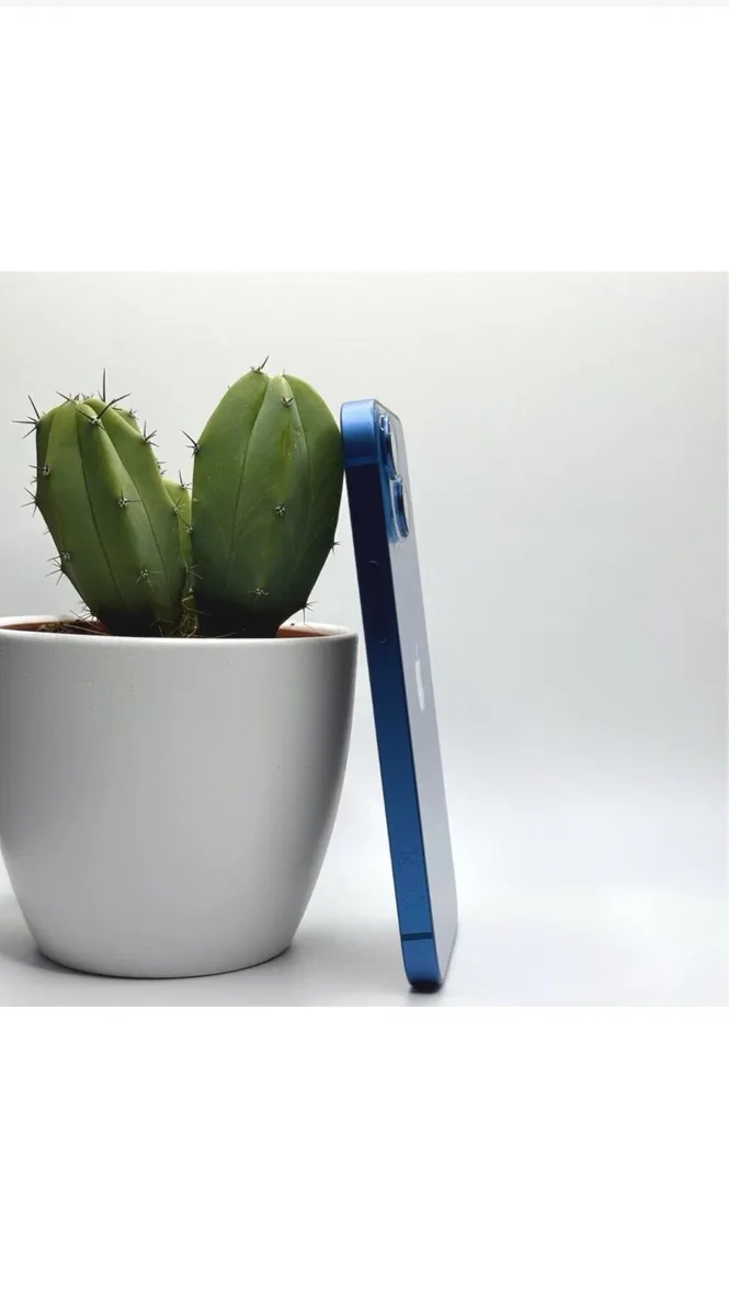 iPhone 13 unlocked - Image 3