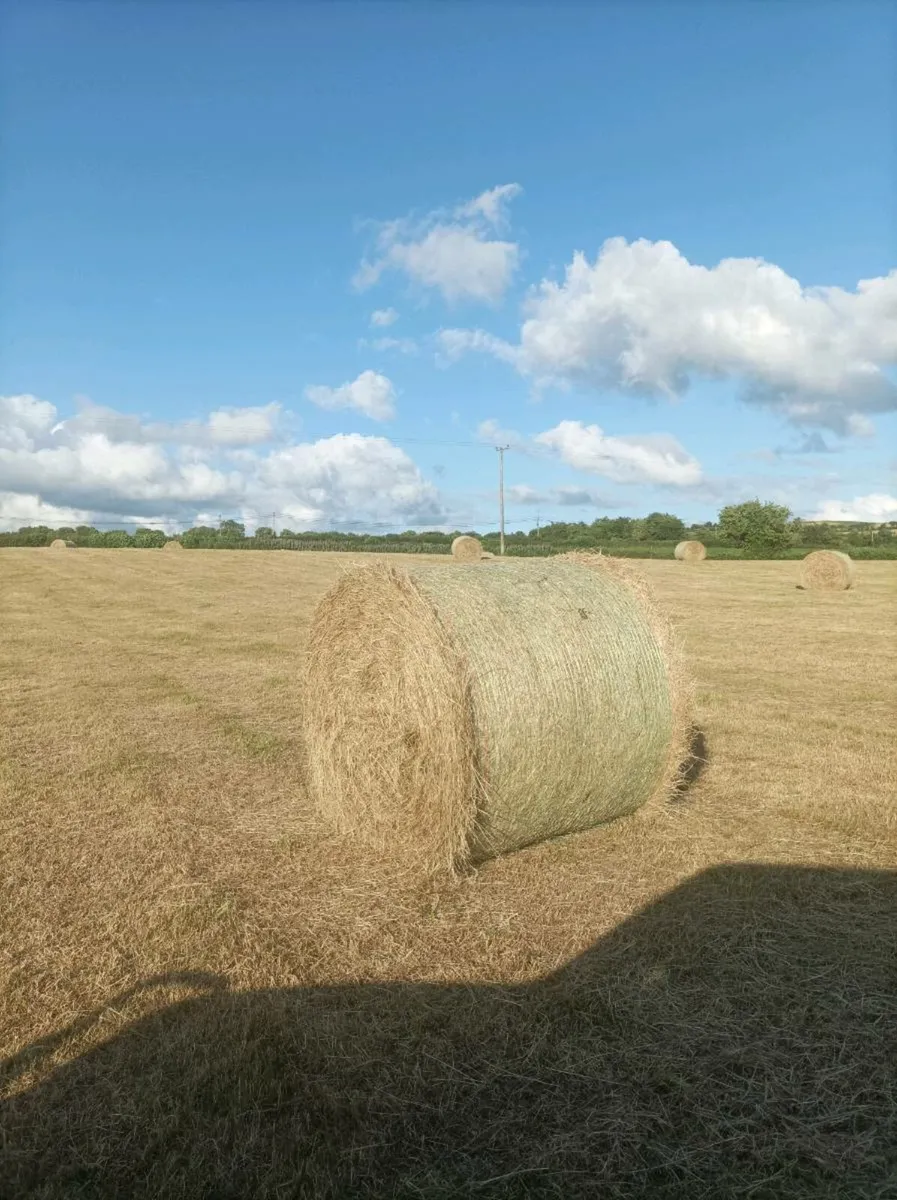 Bales of hay and haylage - Image 1