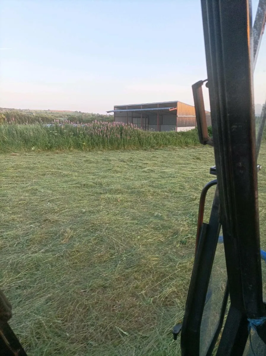 Bales of hay and haylage - Image 4