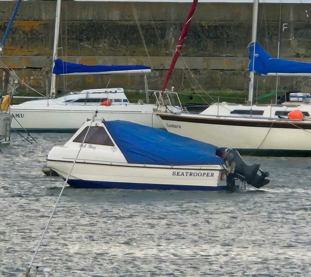 Seahog Seatrooper Suzuki 70hp - Image 4