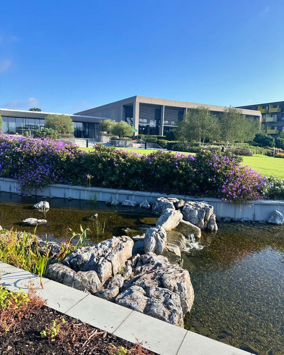Weathered Limestone Boulders - Image 2