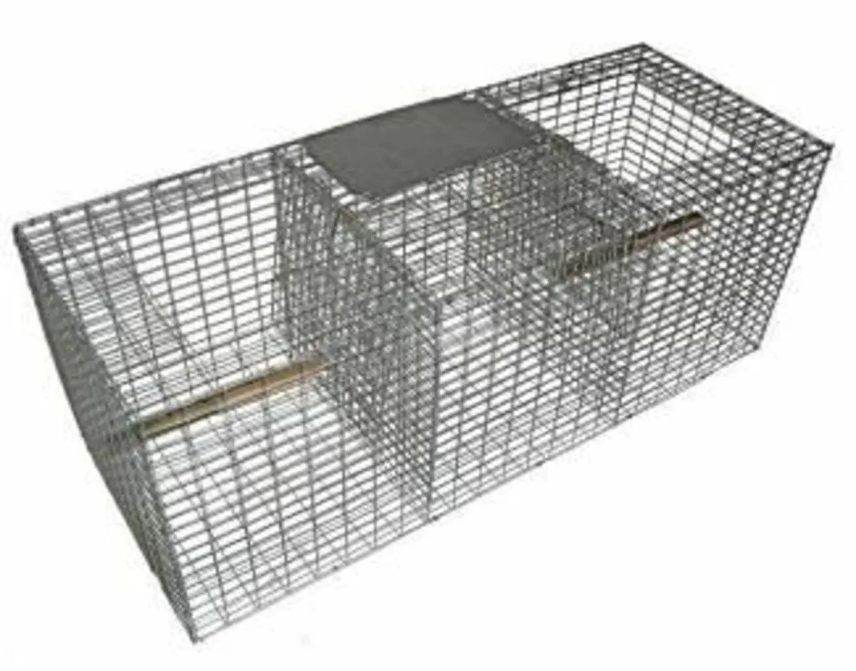 Larsen Magpie Cage - Image 3