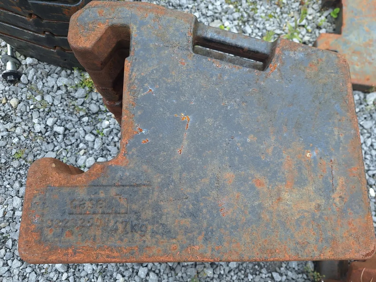 Case Maxxum Weights - Image 1