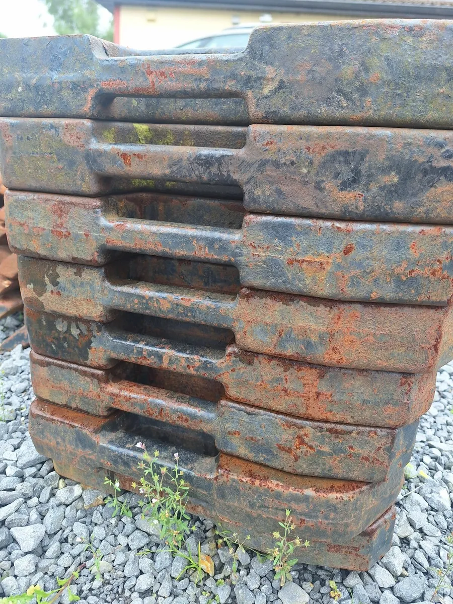 Case Maxxum Weights - Image 3