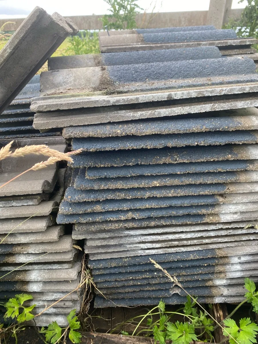 €0.50 cents REDLAND DOUBLE ROMAN TILE - Image 4