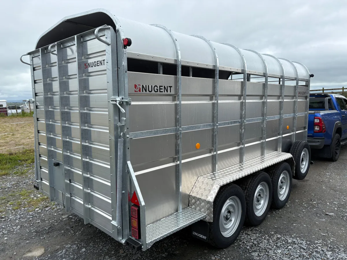 New Nugent 14x6 Cattle Trailer - Image 4