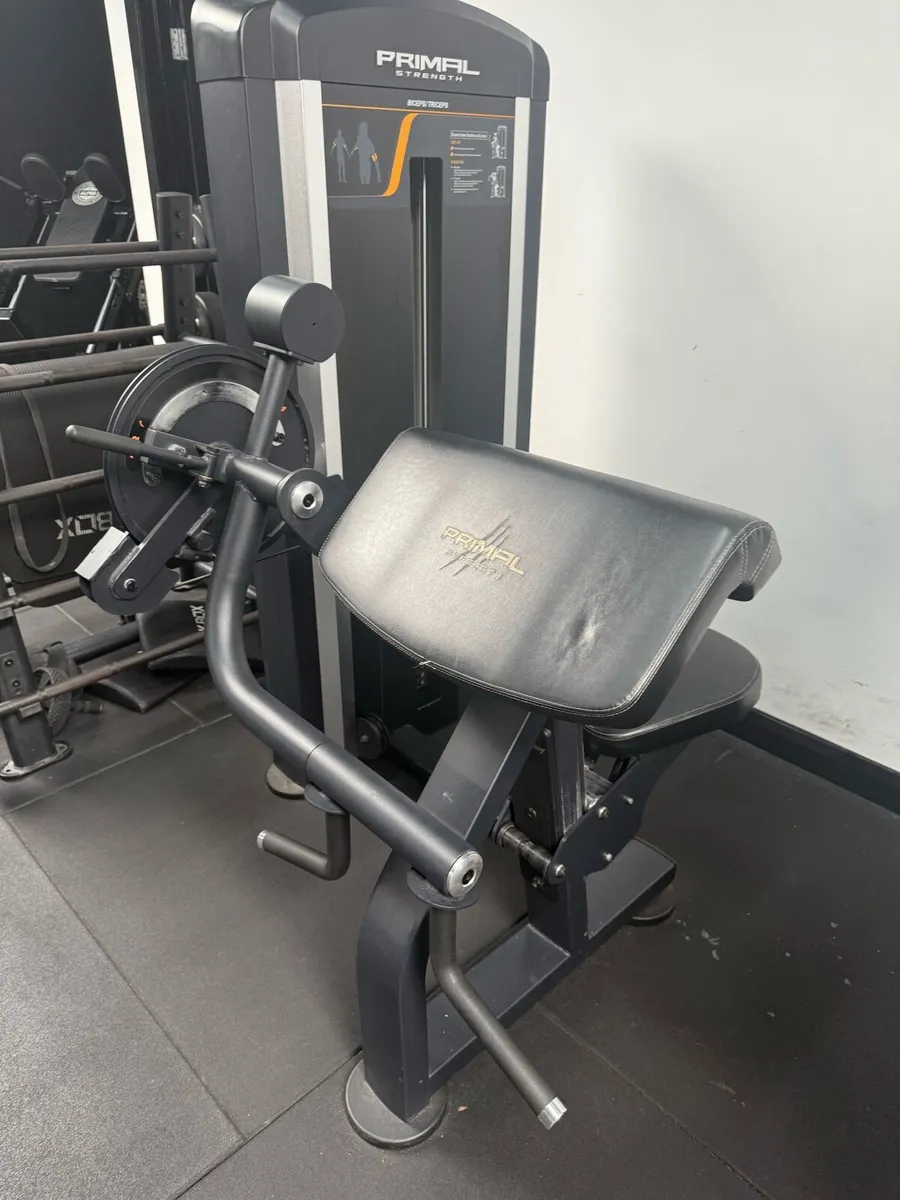 Bicep and Tricep Machine - Image 1