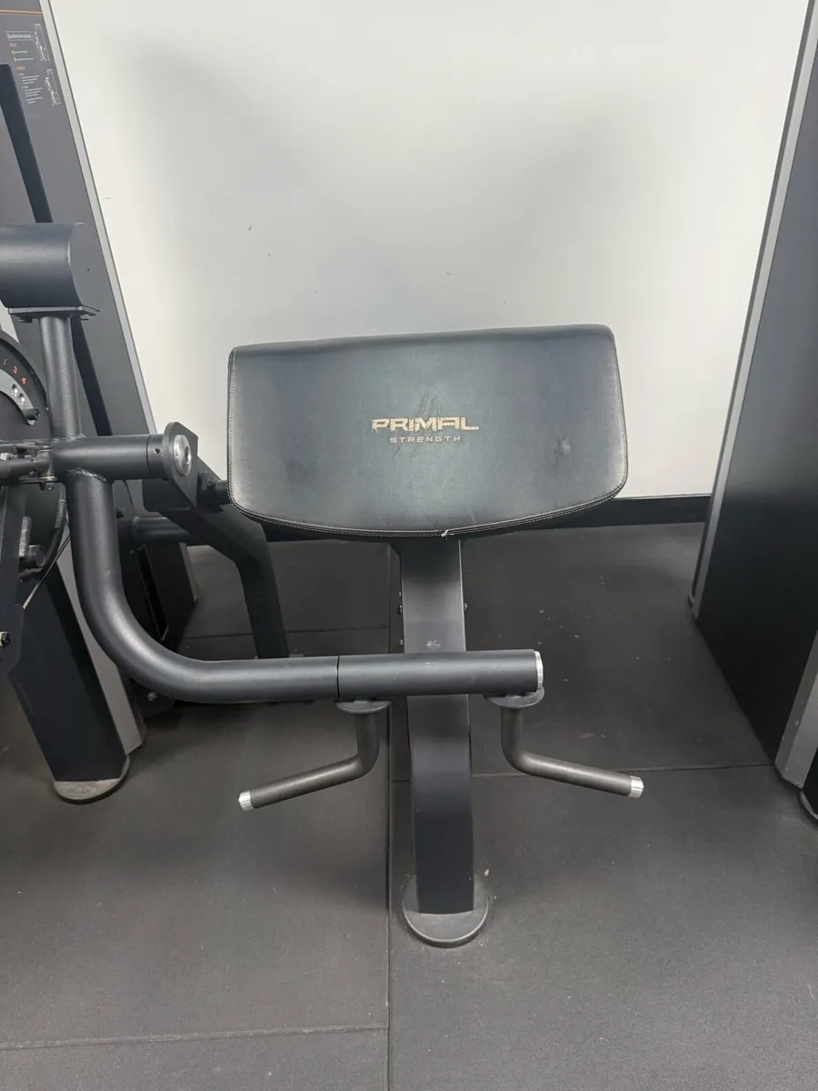 Bicep and Tricep Machine - Image 2