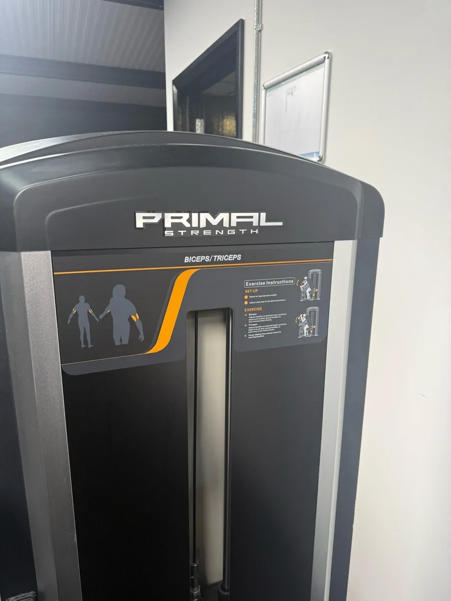Bicep and Tricep Machine - Image 3