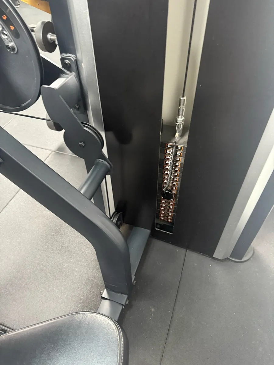 Bicep and Tricep Machine - Image 4