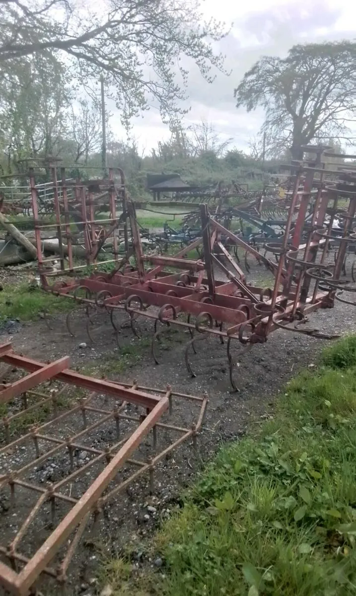 Trible.k.harrows - Image 3