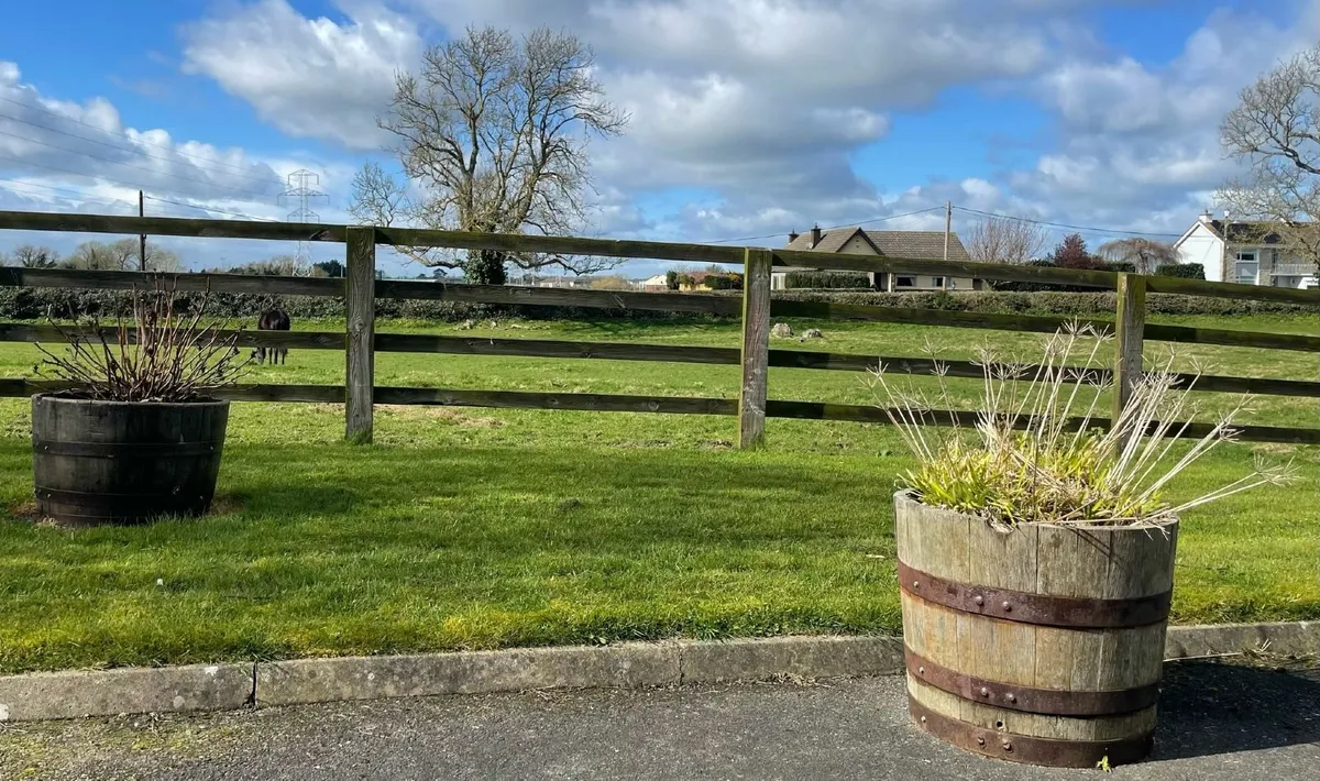 Whiskey Barrels Planters all Sizes- Delivery - Image 4