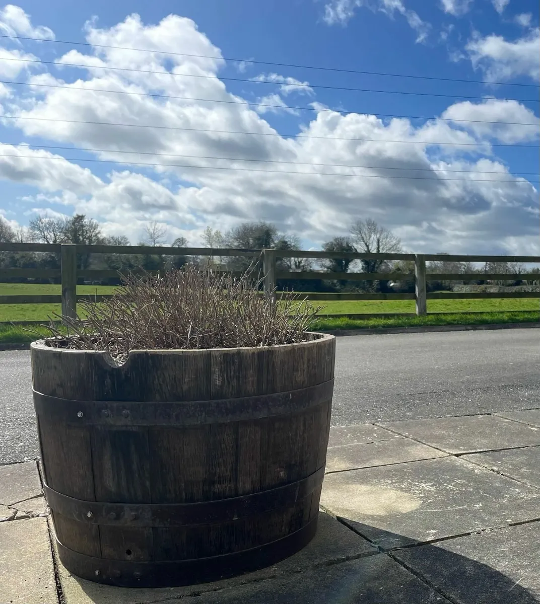 Half Whiskey Barrel Planters- Natural Oak Wood - Image 2