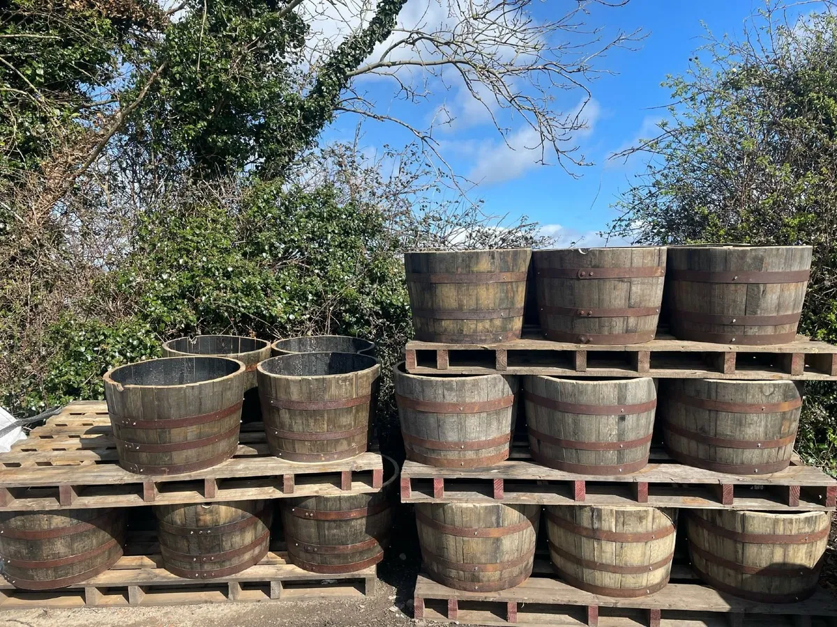 Half Whiskey Barrel Planters- Natural Oak Wood - Image 3